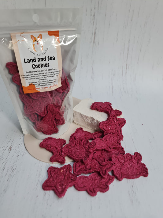 Land and Sea Cookies