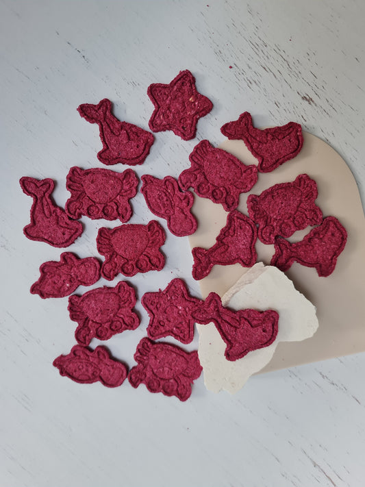Land and Sea Cookies