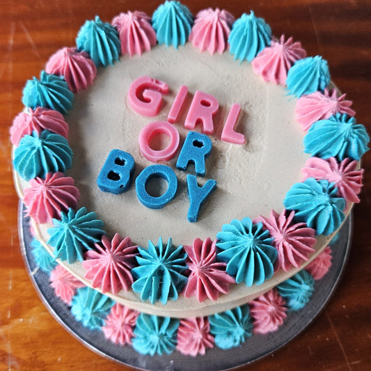 Gender Reveal Cake