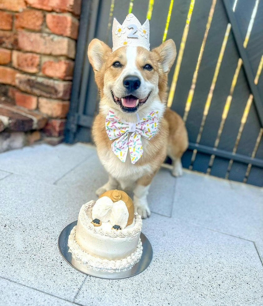 Doughnut Cake