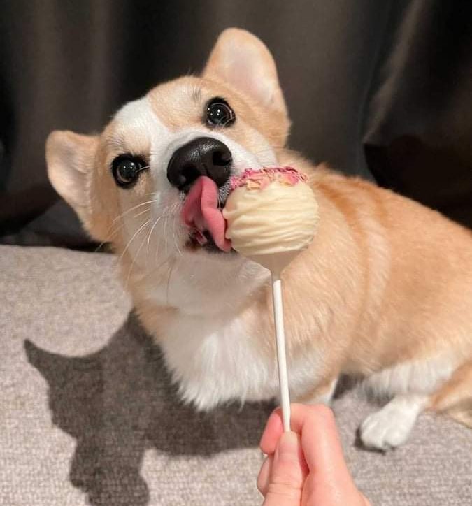 Cake Pops