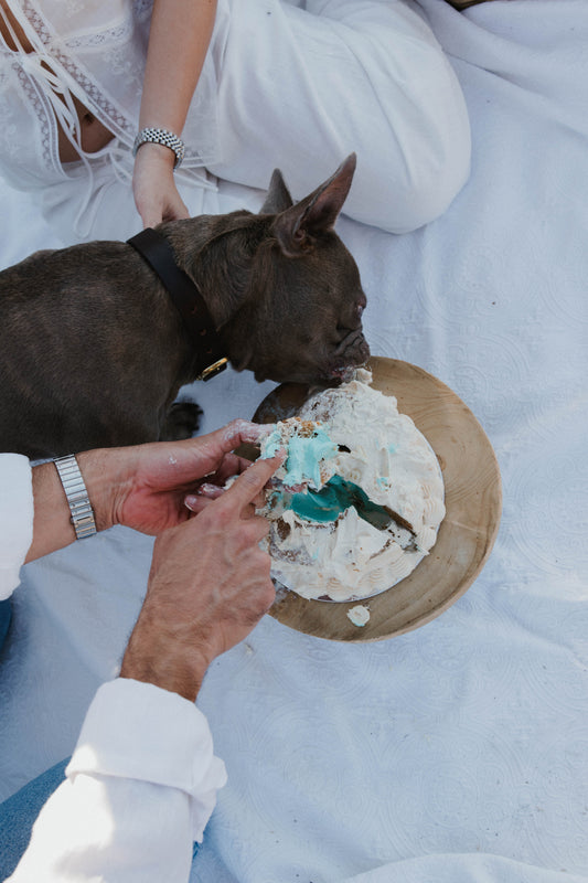Heart Gender Reveal